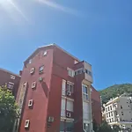 Gato
